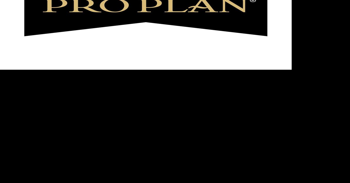 Purina Pro Plan-Fueled Westminster Best in Show Champions: Where Are They Now?