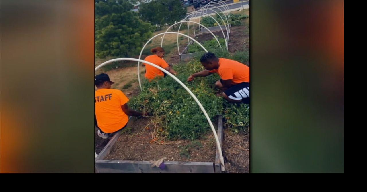 New program putting young people to work in the great outdoors in the ...