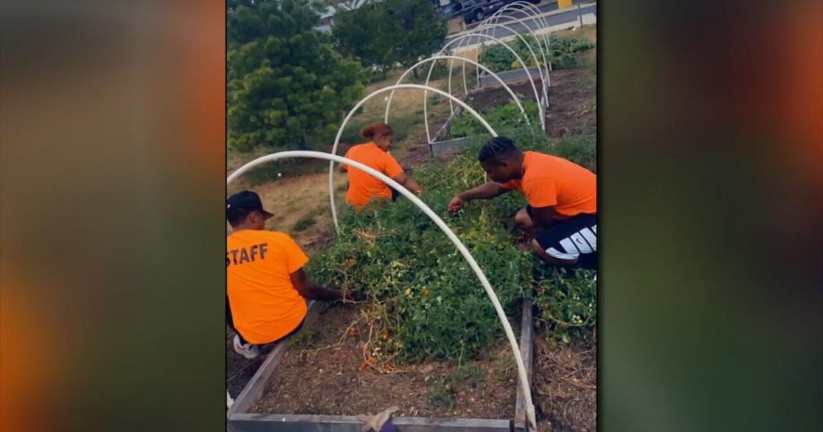 New program putting young people to work in the great outdoors in the ...