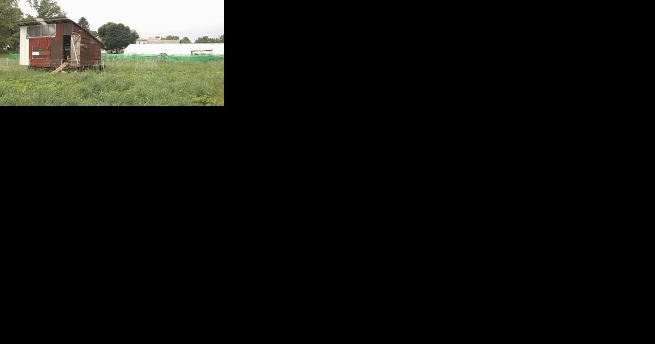 250th farm preserved in Northampton County amid development boom - Vimarsana News