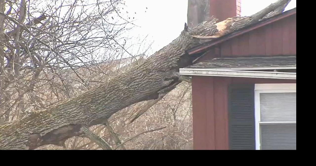 Strong winds topple trees, spark power outages across Berks County ...