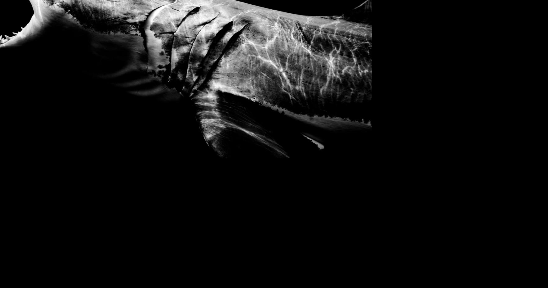 Leica Store & Gallery New York Presents "Within One Breath:" A Solo Exhibition by Matt Draper