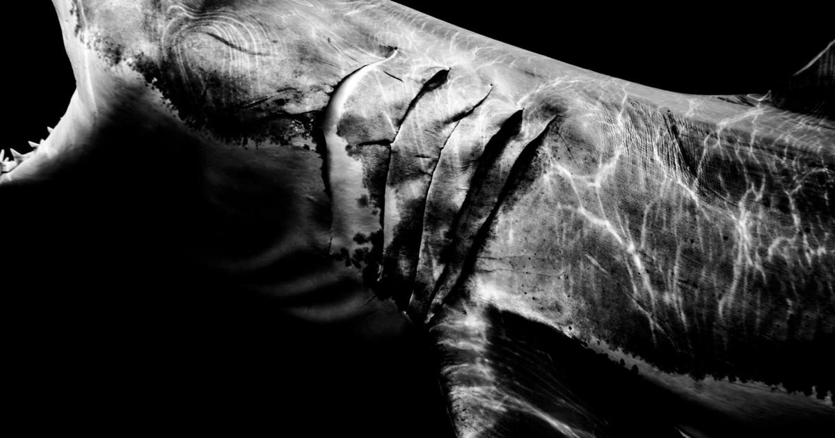 Leica Store & Gallery New York Presents "Within One Breath:" A Solo Exhibition by Matt Draper