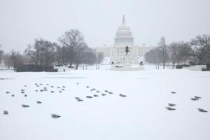 US government shuts down but quick resolution expected