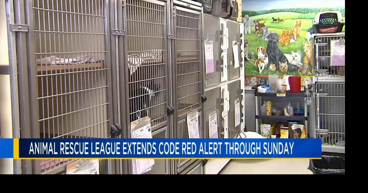 ARL extends Code Red for City of Reading | Berks Regional News | wfmz.com