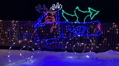 Lehigh Valley Zoo Winter Light Spectacular