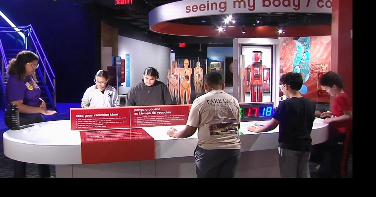 Get a Sneak Peek: Da Vinci Science Center Showcases Exhibit before Grand Opening