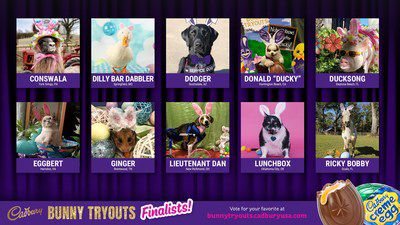 Cadbury Brand Announces Finalists In This Year S Bunny Tryouts