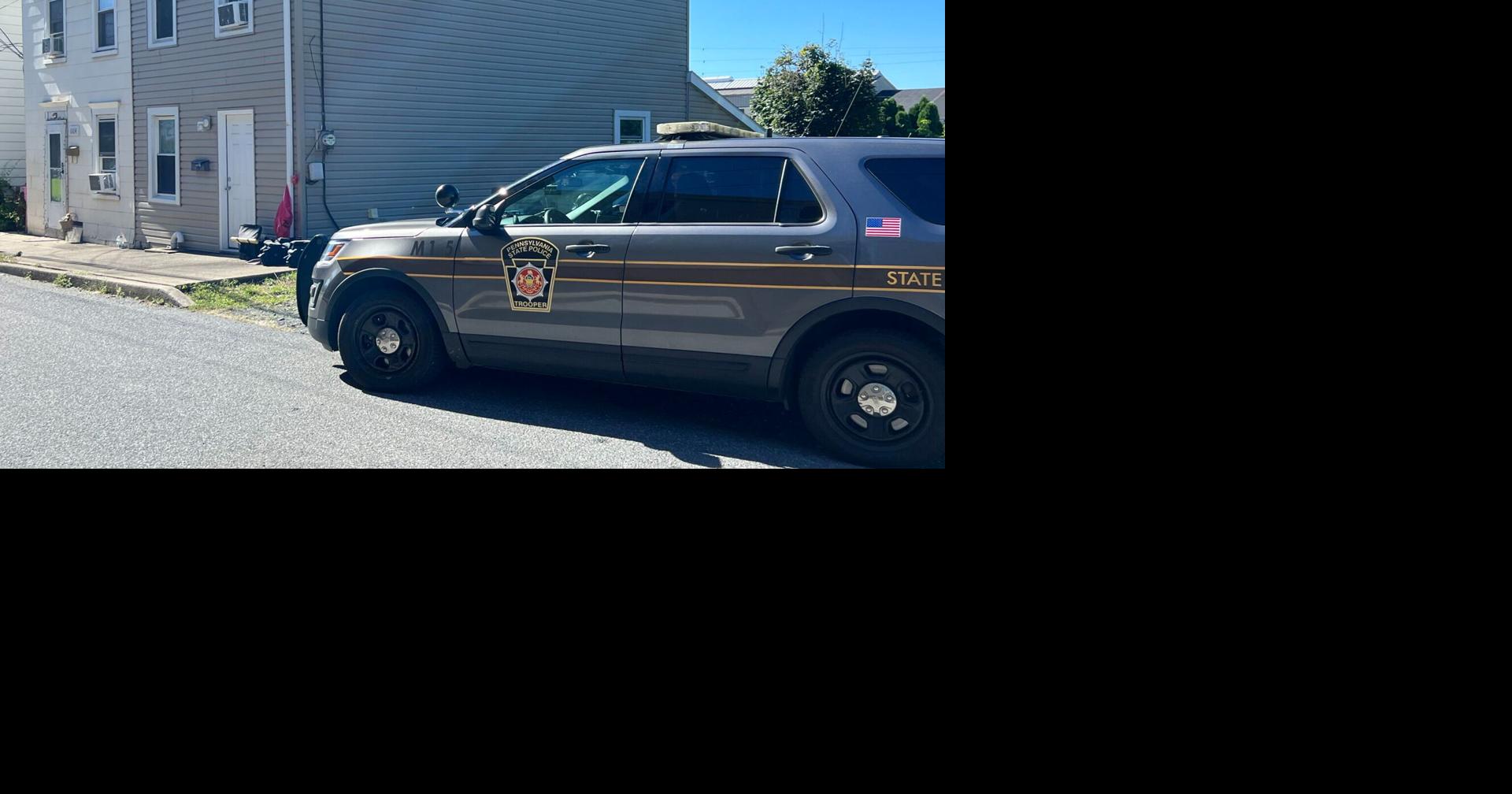 Teen pleads not guilty in North Catasauqua double homicide | Lehigh ...