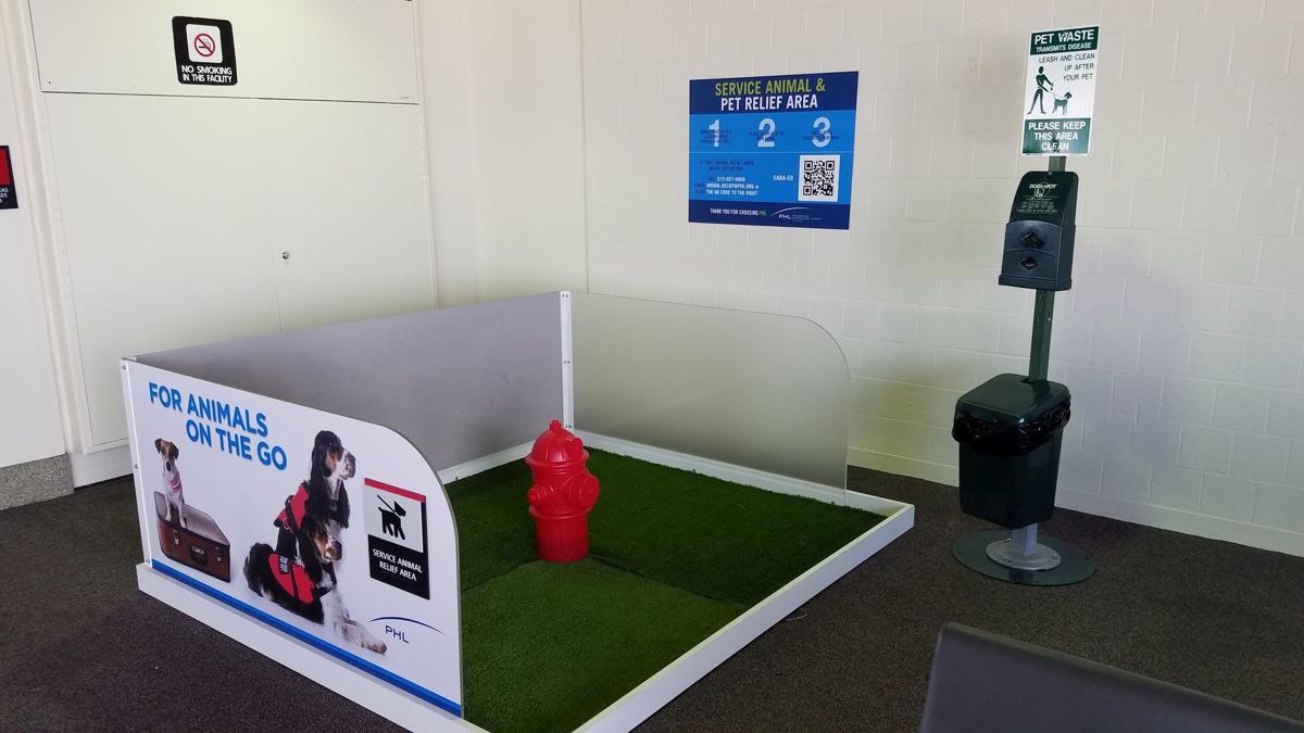 Philadelphia International Airport Offers Relief To Pets That Have To Go While On The Go Southeastern Pennsylvania Wfmz Com