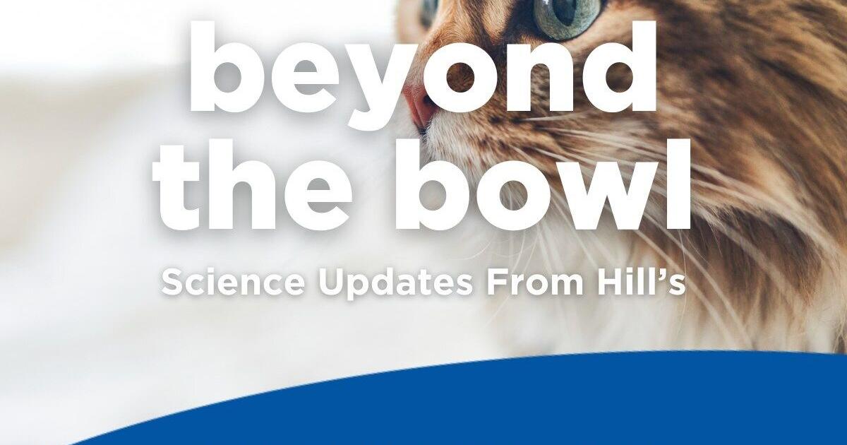 HILL’S PET NUTRITION AND HARVARD T.H. CHAN SCHOOL OF PUBLIC HEALTH RESEARCHER DEEPEN COLLABORATION TO ADVANCE PET MICROBIOME SCIENCE AND INNOVATION | PR Newswire