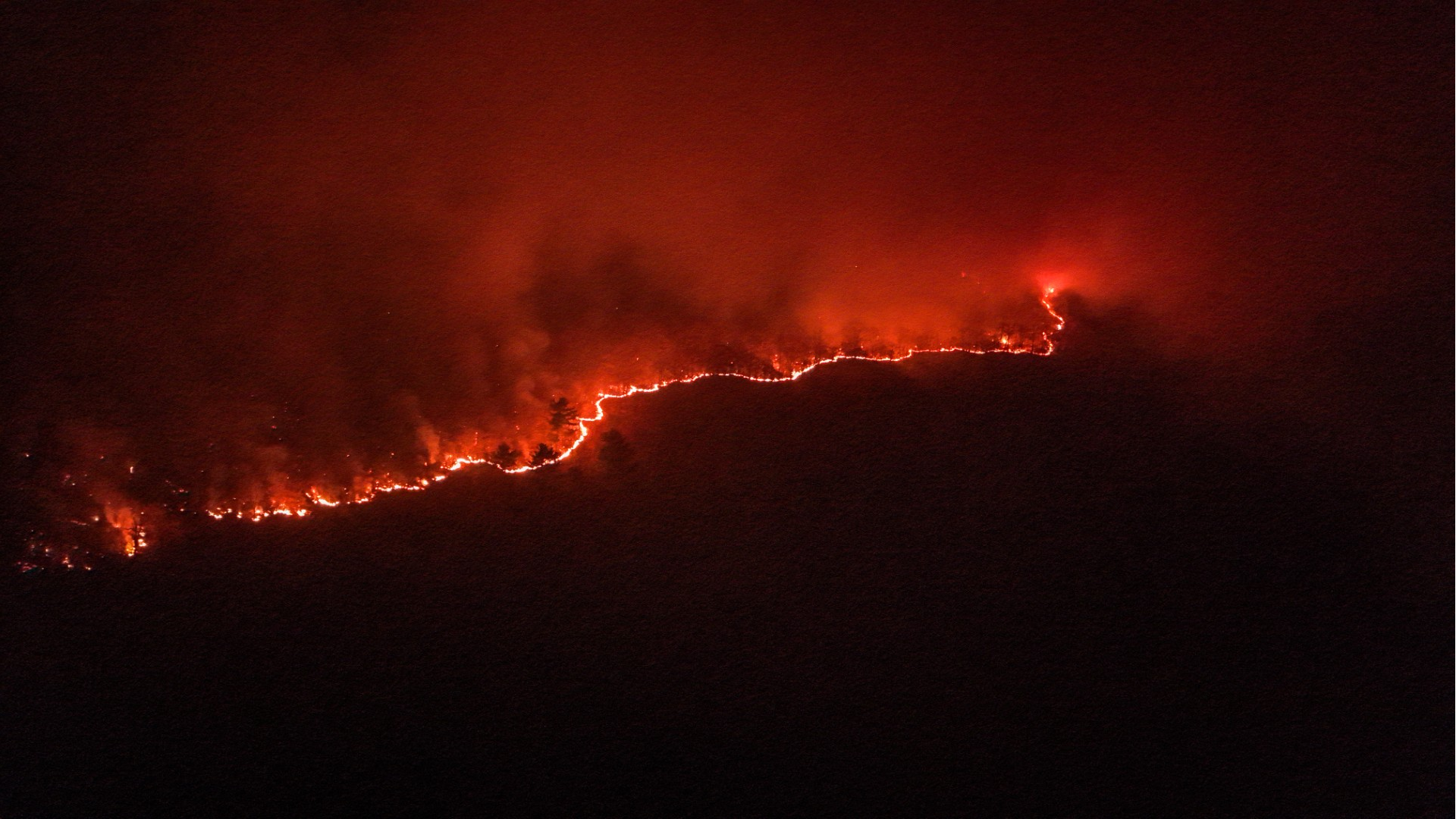 Fast moving brush fire closes roads, burns multiple acres in ...