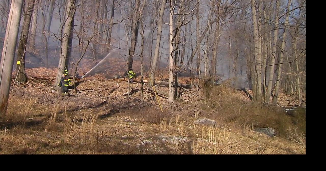 Neighbors watch firefighters battle brush fire in Muhlenberg Twp ...