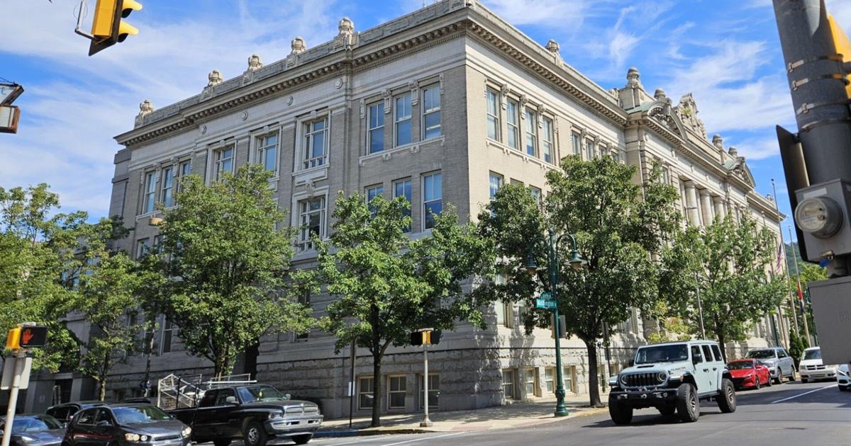 Reading City Council nixes voter referendum questions to amend charter