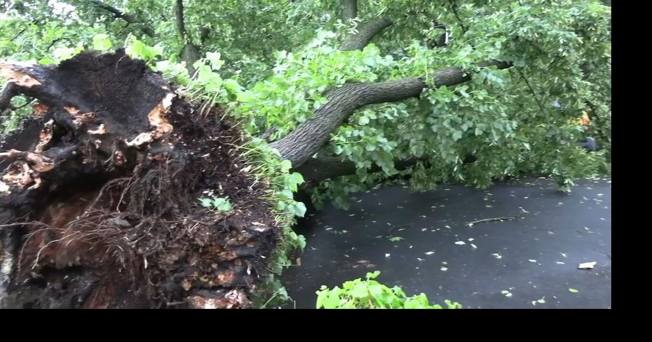 Storm downs trees, leaves thousands without power in Lehigh Valley ...