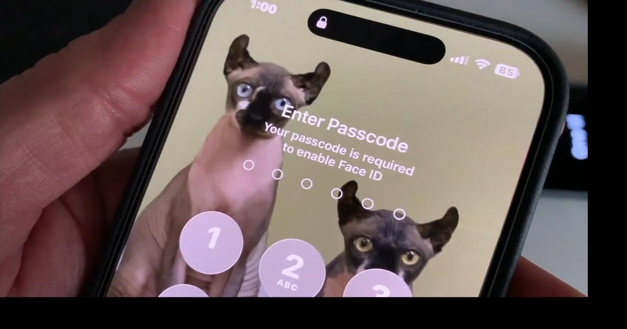 What the Tech? How to temporarily disable Face ID to unlock iPhone, Android devices | What The Tech?