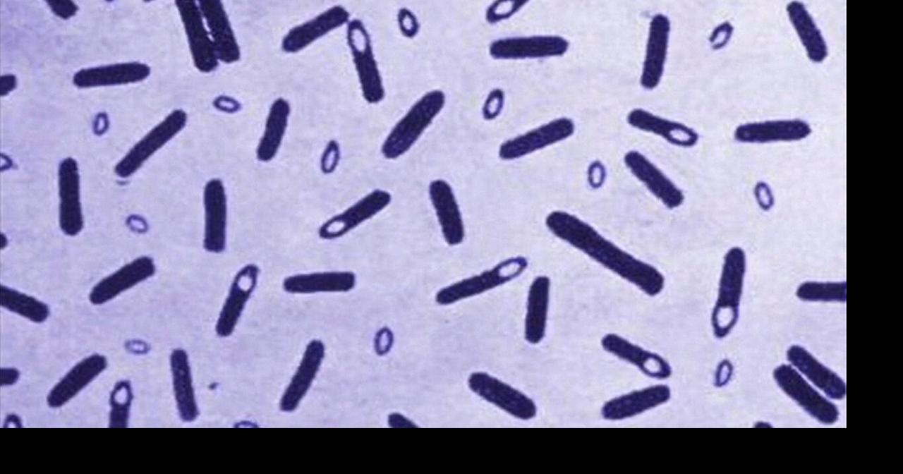 Health Beat: Botulism