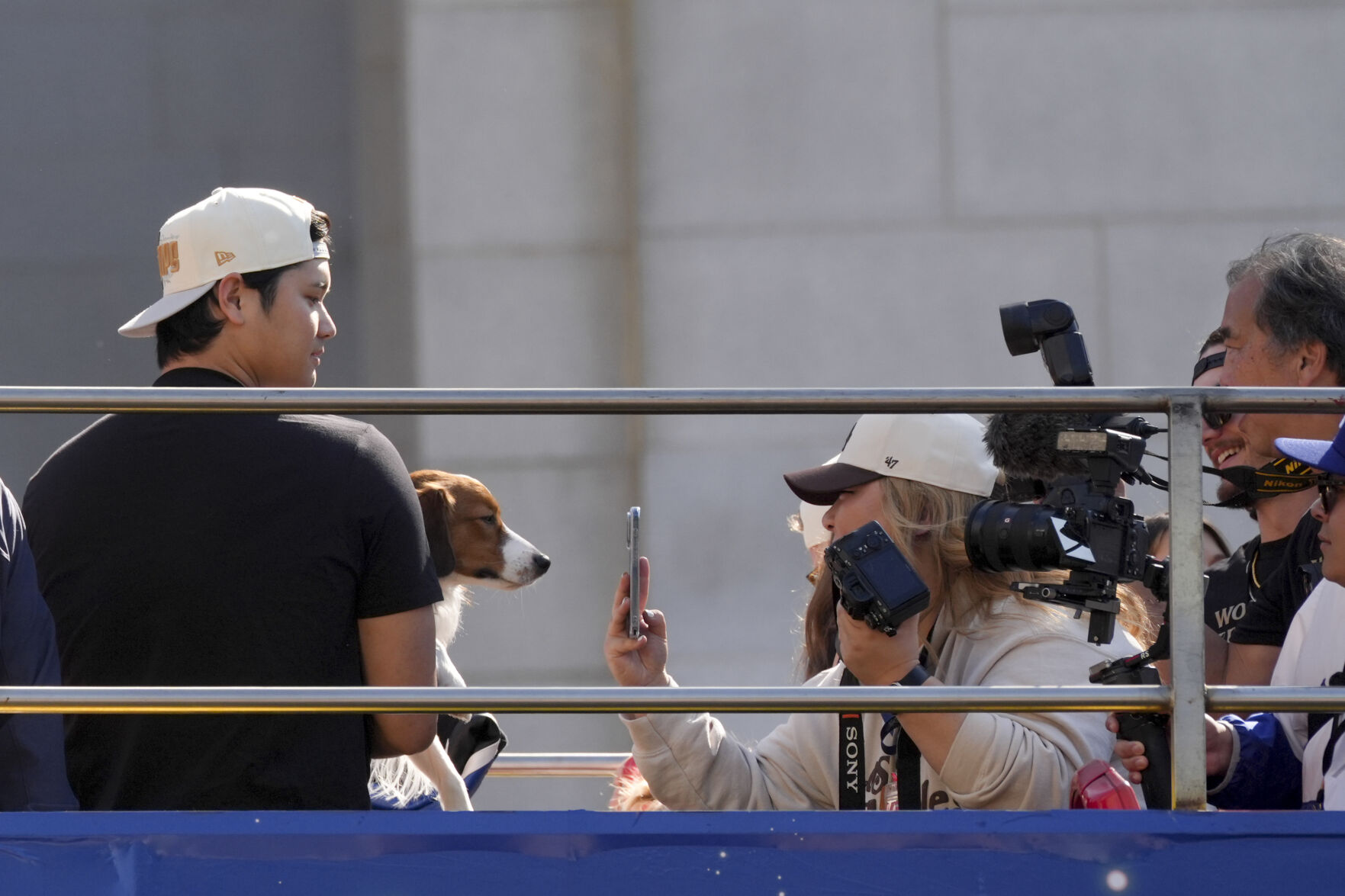 Meet Decoy Ohtani, Perhaps The Most Valuable Pet Of The World Series ...