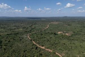 Protected forests under threat in DRC's lucrative mining belt