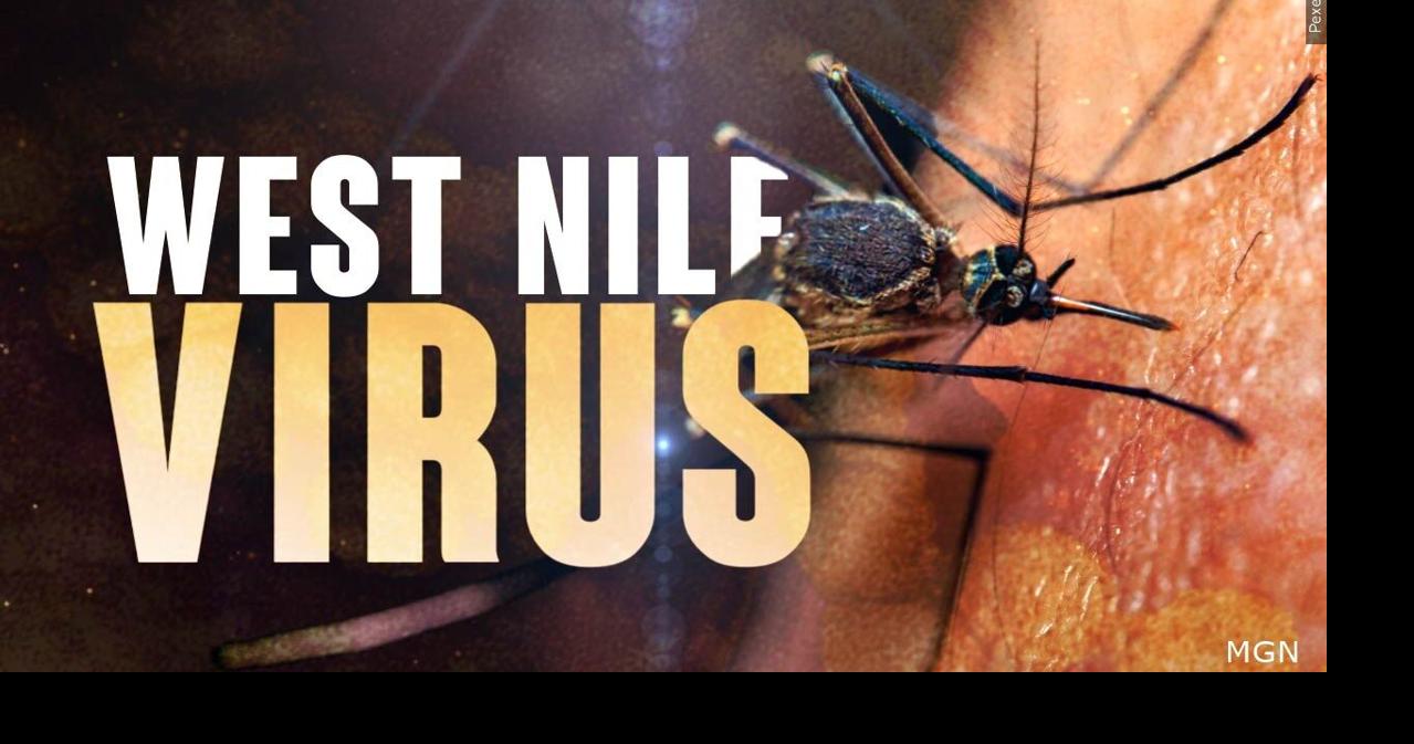 Wyomissing mosquito sample tests positive for West Nile Virus in Berks County