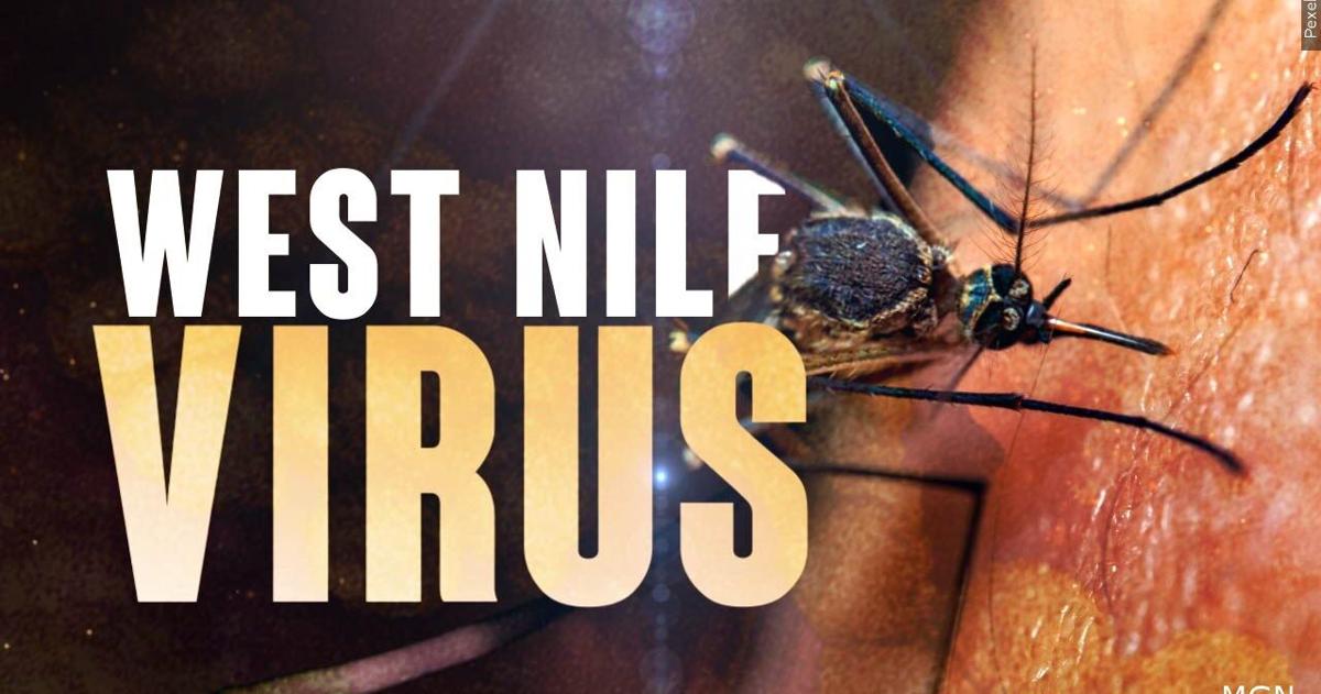 Wyomissing mosquito sample tests positive for West Nile Virus in Berks County