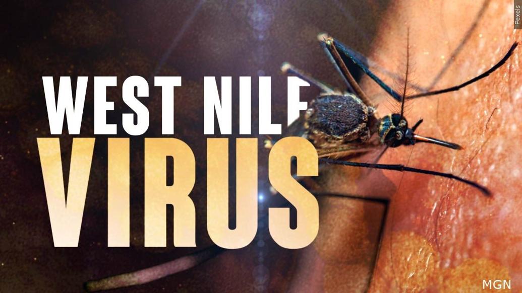 West Nile virus detected in Warren County | Regional | wfmz.com