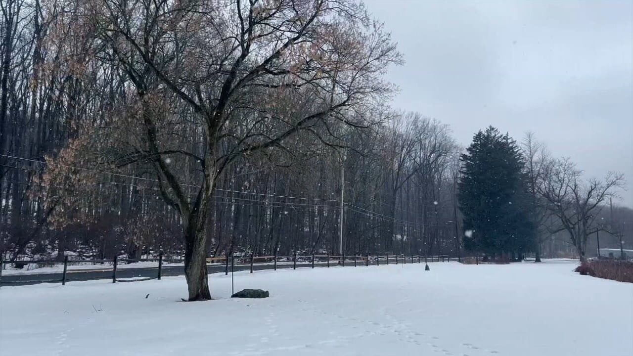 New Lehigh Valley gym helping members ‘feel empowered' to reach fitness goals