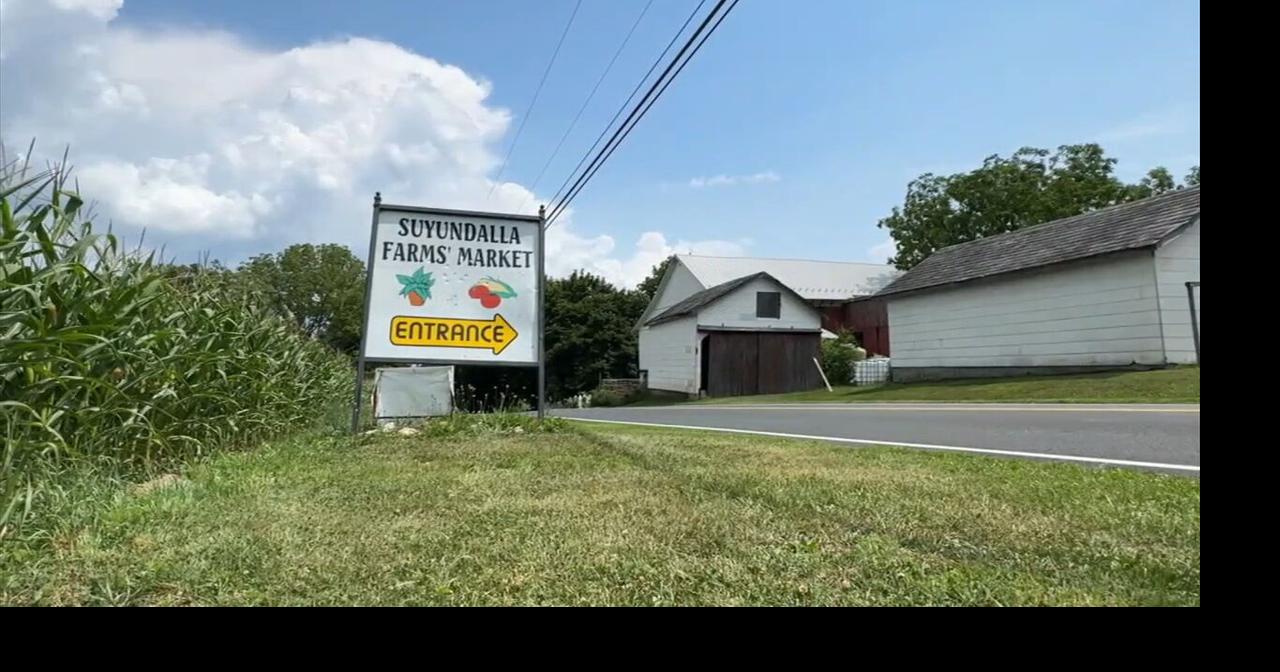 ‘You can't put a price on it’: Lehigh County Farmland Preservation sees surge of interest amid data center development