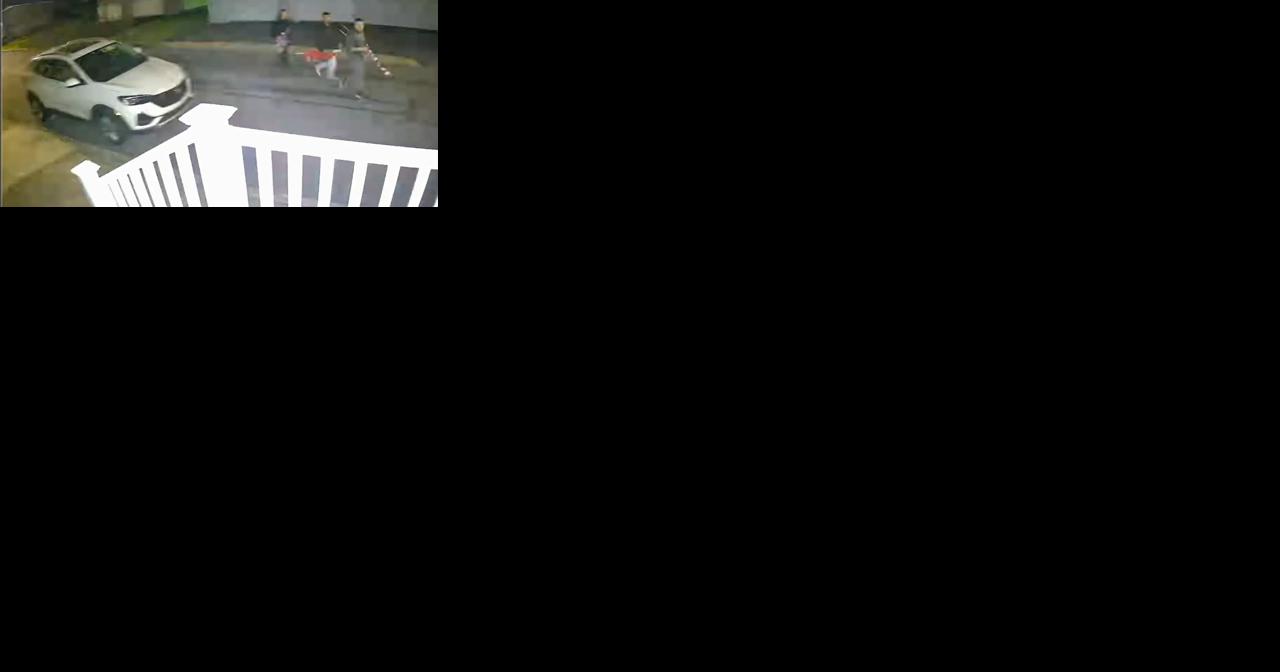 'Something that should be honored': Neighbors react to American flags stolen off Macungie residents' property - Vimarsana News