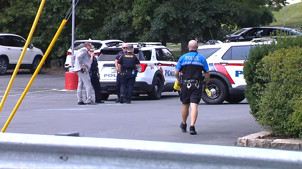 Elderly woman identified as pedestrian fatally hit by car in S ...