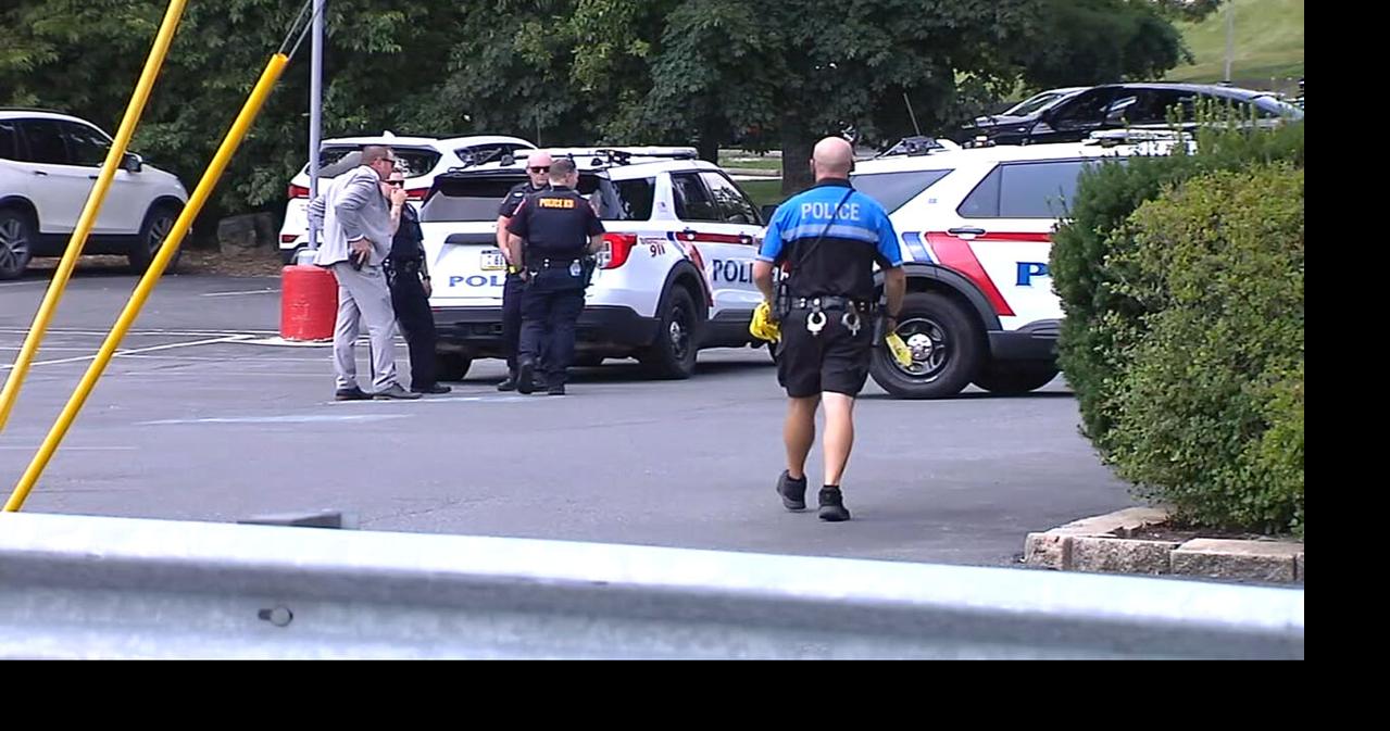 Elderly woman identified as pedestrian fatally hit by car in S ...