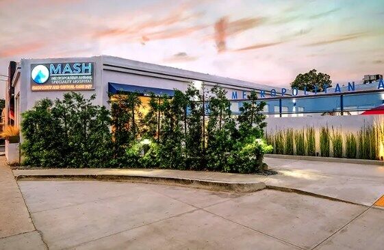 MASH facility at 6565 Santa Monica Boulevard, Los Angeles, CA