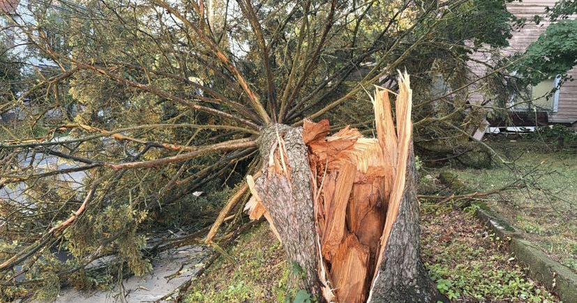 alburtis house damage