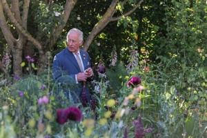 King Charles III warns world 'going backwards' in climate fight