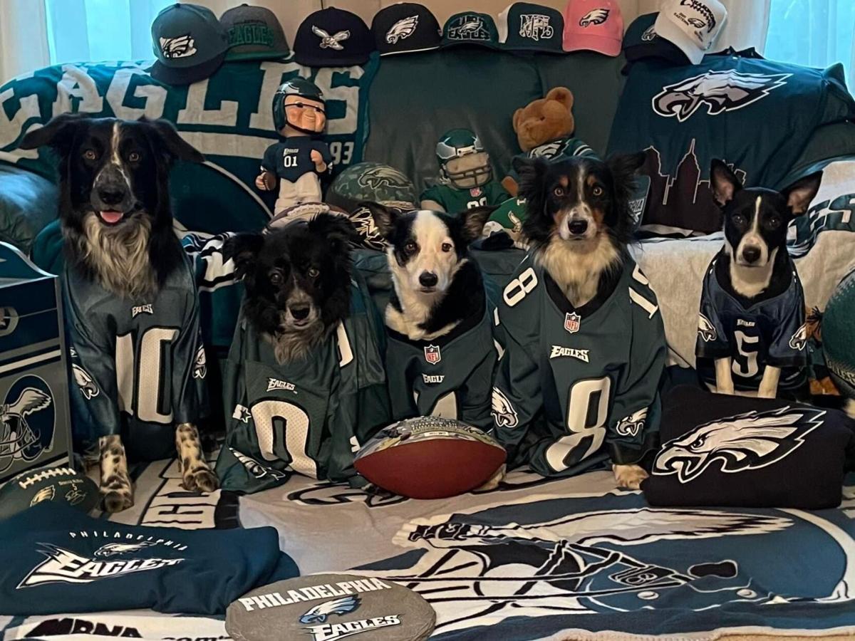 Philadelphia Eagles Fan Custom Canvas Pet Portrait