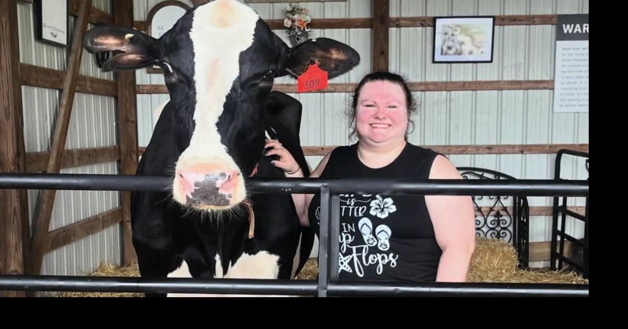 New business offers calf, cow cuddling in the Lehigh Valley