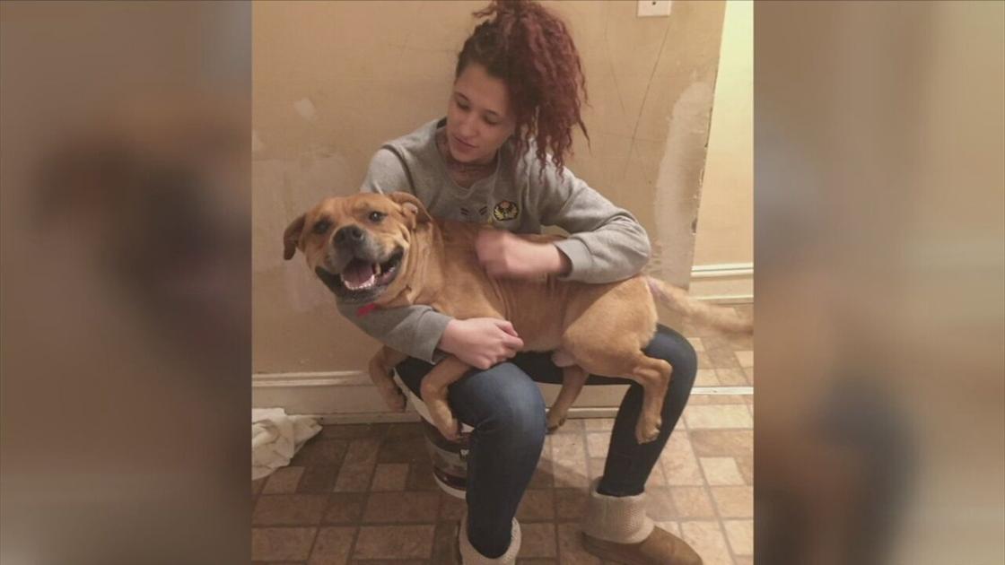 Lehigh County Humane society reunites woman with her long lost dog | Lehigh  Valley Regional News | wfmz.com