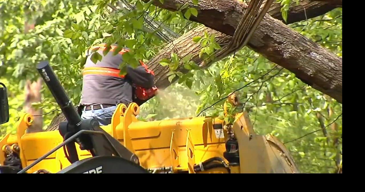 Cleanup efforts underway after strong storms leave behind damage in ...
