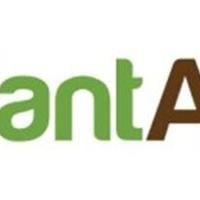 PlantArcBio Secures U.S. and South Korea Patents for DIPPER™ Platform, Advancing Gene-Editing Optimization in Crops
