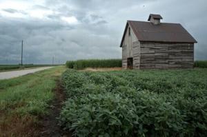 Trump administration re-approves twice-banned pesticide