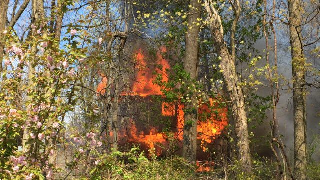 Firefighters battling brush fire in Salisbury