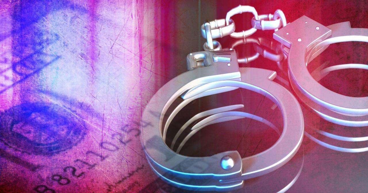 PSP: Woman threw dog out of car window before reporting it stolen - Vimarsana News