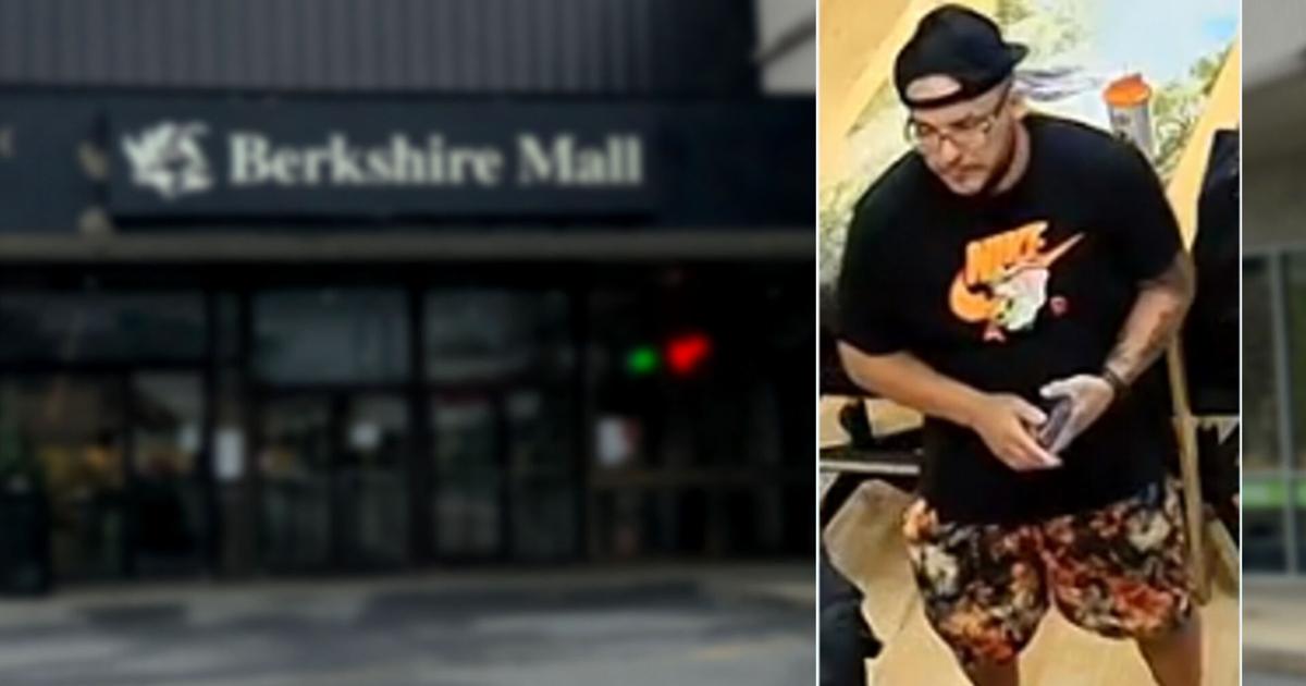 Wyomissing Police seek to identify suspect in $8,000 card theft from Berkshire Mall