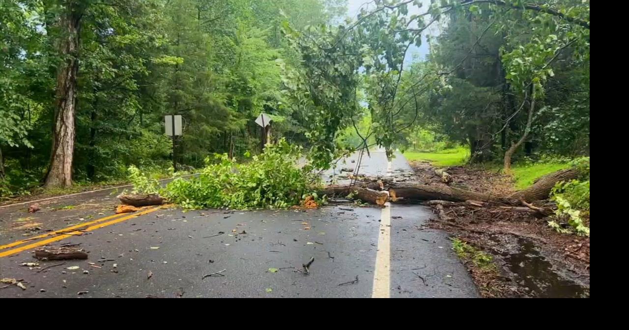 Fast-moving storm sends water rushing across road, knocks down trees in ...