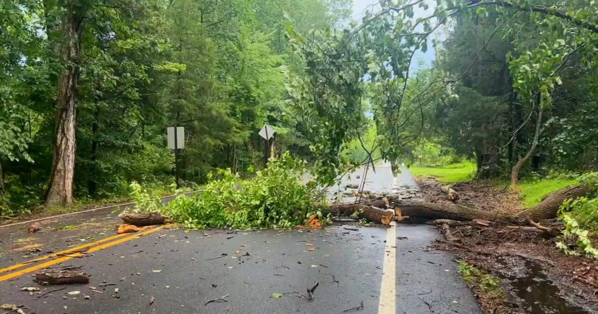 Fast-moving storm sends water rushing across road, knocks down trees in ...