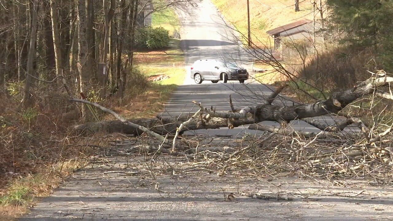 Windy Weather Knocks Down Trees | Poconos And Coal Region | Wfmz.com