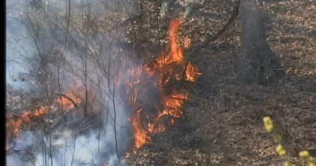 Crews battle brush fire in Schuylkill County | News | wfmz.com