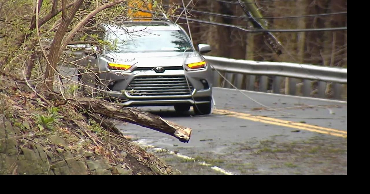 Driver, passenger rescued from car after trapped by downed