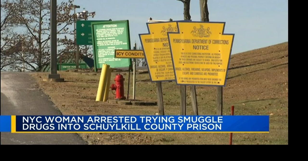 NYC woman arrested for trying to smuggle drugs into Schuylkill County ...
