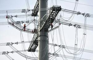 Germany acquires power grid stake from Dutch operator